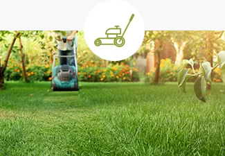 espaces verts Landes