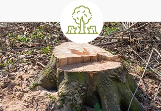 espaces verts Landes