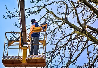 espaces verts Landes