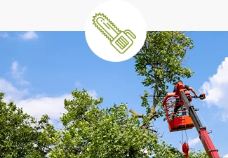 espaces verts Landes